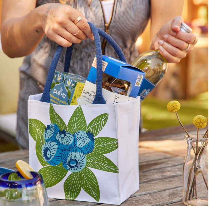 BLUEBERRY BUNCH REUSABLE ITSY BITSY GIFT BAG
