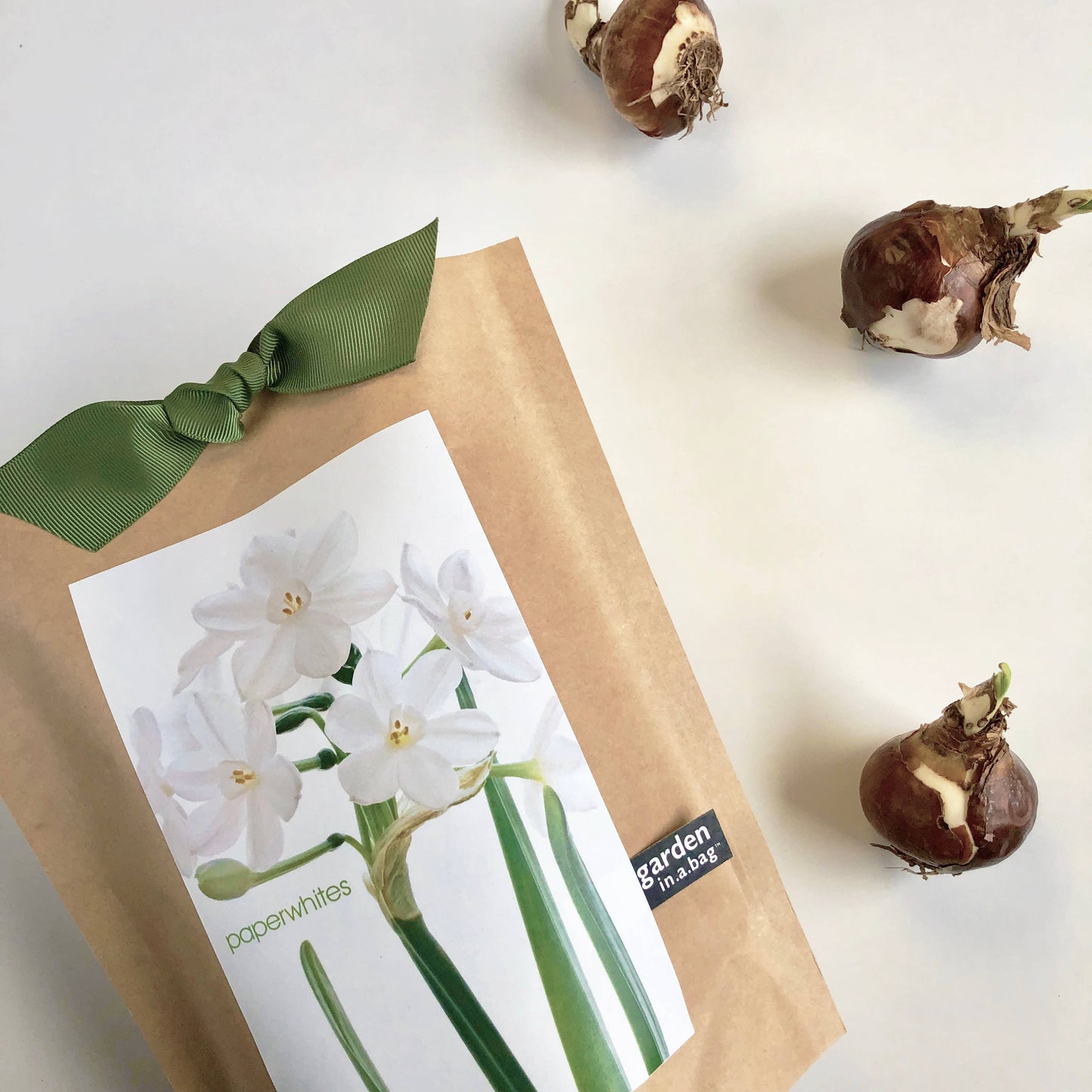 Garden in a Bag - Christmas Paperwhites