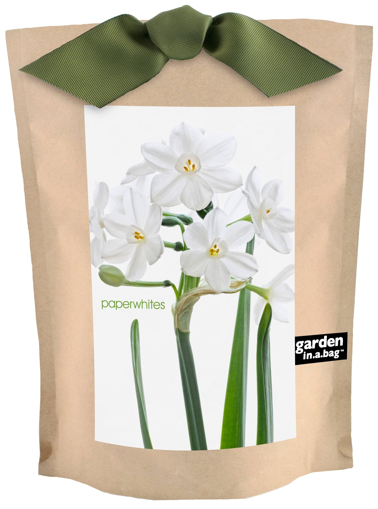 Garden in a Bag - Christmas Paperwhites