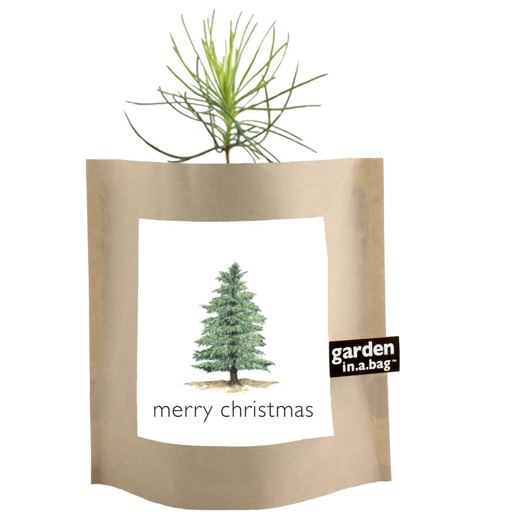 Garden in a Bag - Christmas Tree