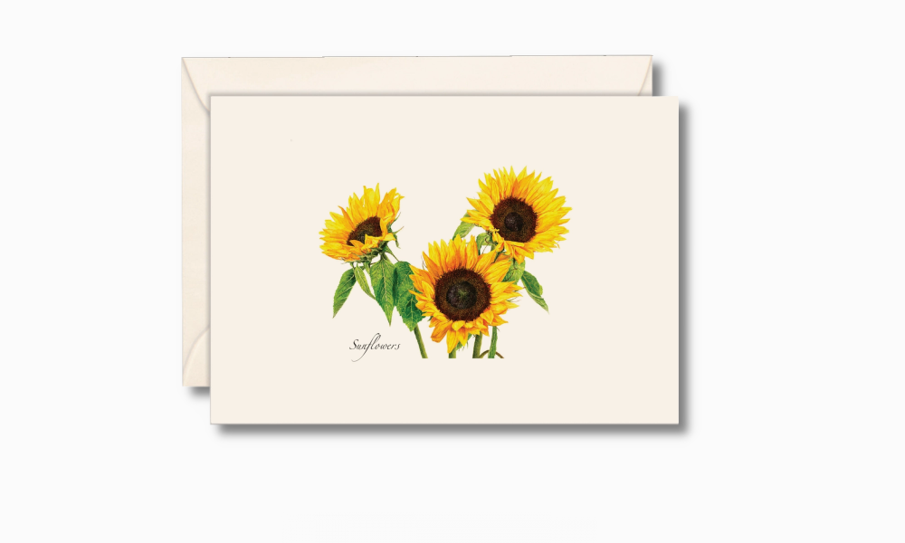 Notecard Set